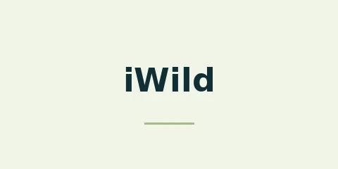iWild Casino
