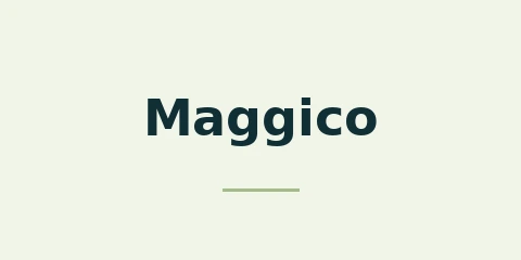 Maggico Casino