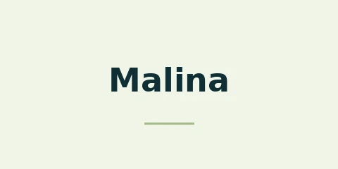 Malina Casino