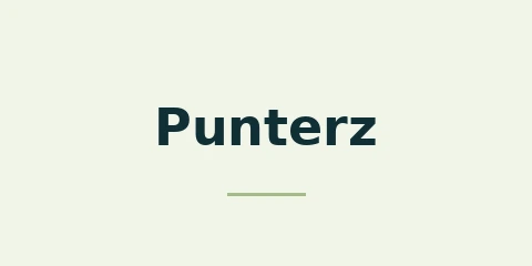 Punterz Casino