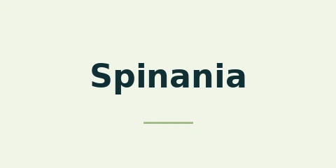 Spinania Casino