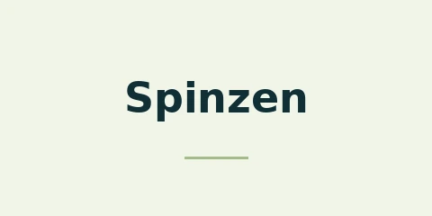 Spinzen Casino