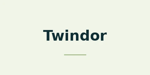 Twindor Casino