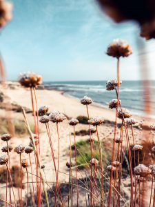 Północne Algarve i Costa Vincentina – Portugalia – eatmeplease.pl